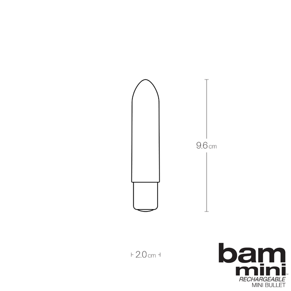 VeDo Bam Mini Rechargeable Vibrator Bullet Vibe Tease Me Turquoise